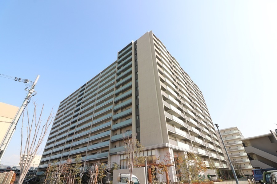 外観:
