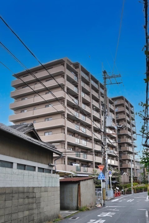外観: