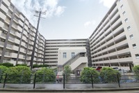 外観: