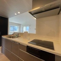 キッチン:★14階部分の『最上階』・『南東角部屋』★ペット飼育可（犬猫♪1住戸1匹）★水回り全交換（キッチン・浴室・洗面化粧台・トイレ）リフォーム済