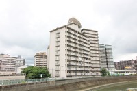 外観: