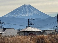 眺望:◇本物件より『富士山』望む眺望＆通風良好です◇