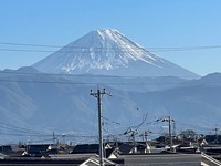 眺望:◇本物件より『富士山』望む眺望＆通風良好です◇