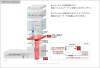 17F「オフィスロビーフロア」よりお電話いただきましたらスタッフがお迎えにお伺いすることも可能です。